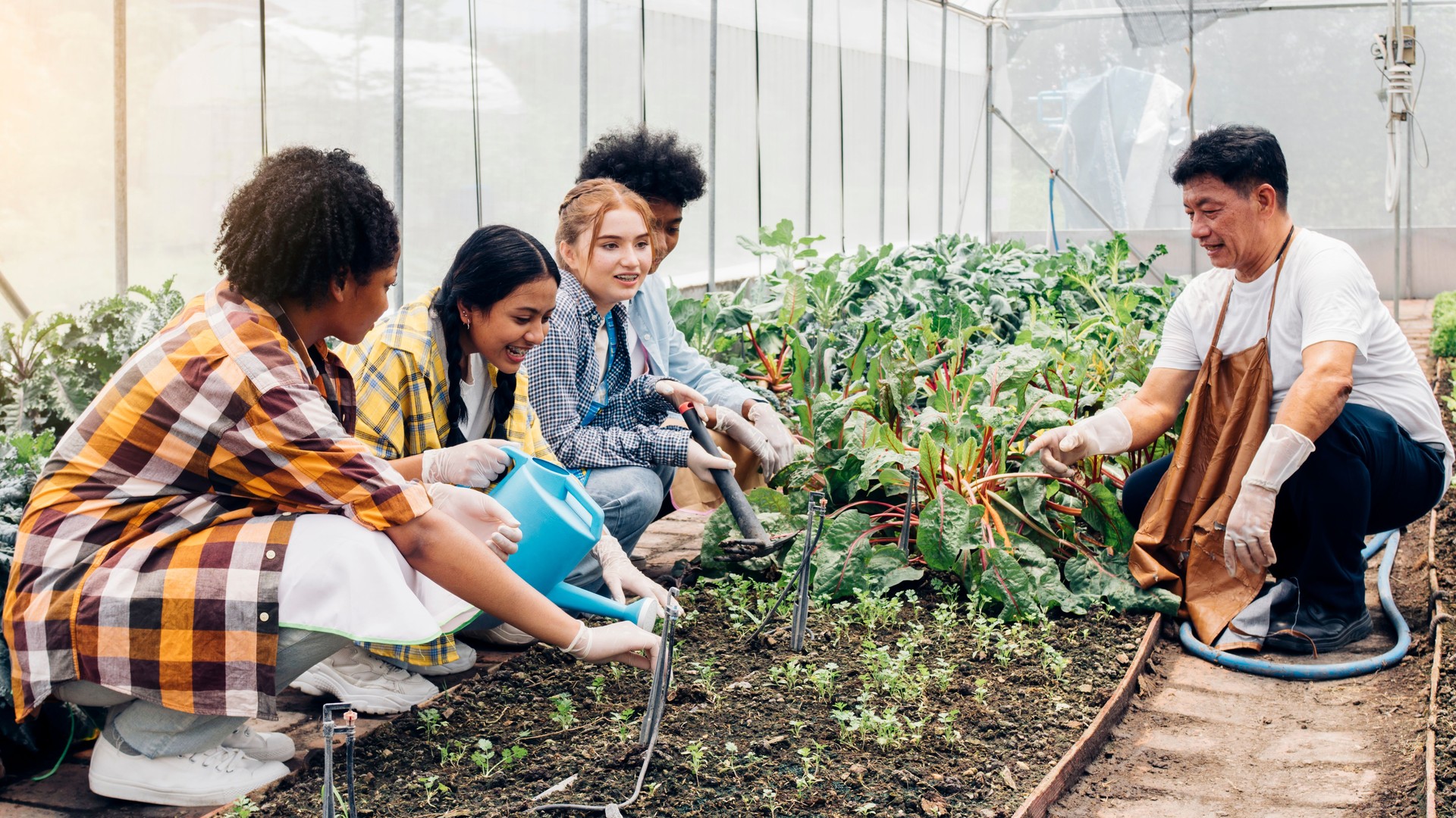 Teenagers learn about vegetable gardening